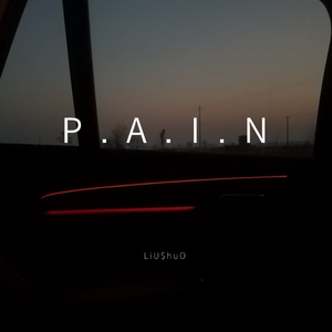 P.A.I.N