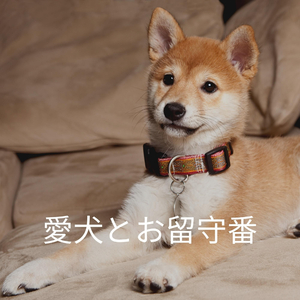 Paradise Like Electric and Acoustic Piano - Vibe for Chill Zones