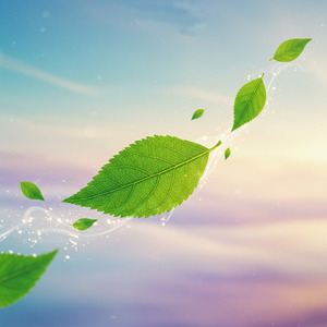 Echoes Along the River Path