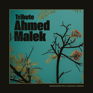 Les Vacances De L'Inspecteur Tahar.