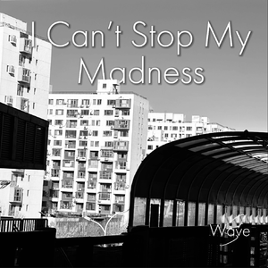 I Can't Stop My Madness (Original Mix)