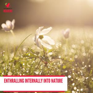 Striking Dawn Wetlands