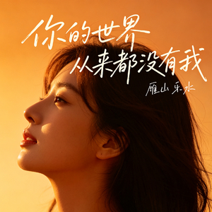 你的世界从来都没有我