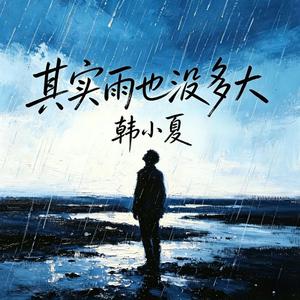 其实雨也没多大（DJ高赞版）