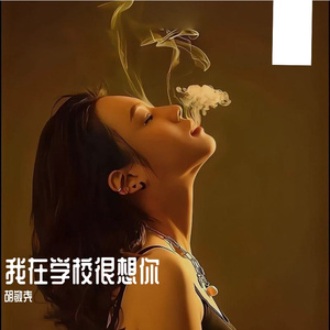 我在学校很想你
