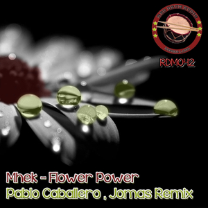Flower Power (Jomas Remix)
