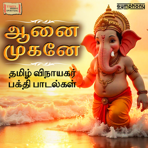 Paaru Parru Pillaiyaaru