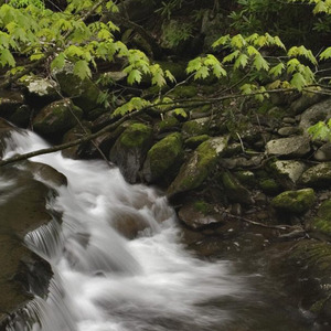 适合[重大严肃重磅]的背景音乐