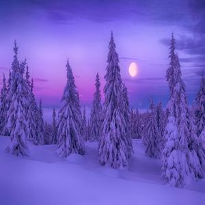 ПРОЩАНИЕ СЛАВЯНКИ