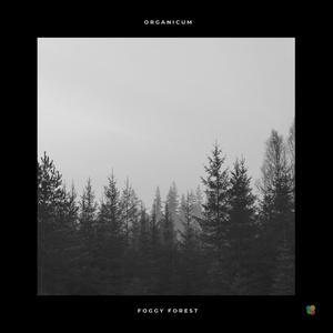 Foggy Forest (Original Mix)