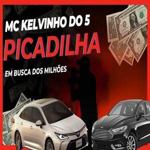 Picadilha