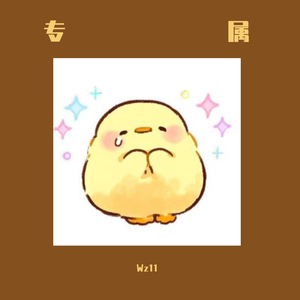 岑宁儿-liaoXY_追光者remix（Wz11 remix）