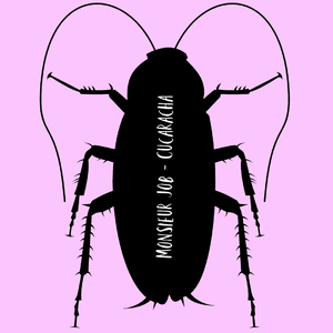 Cucaracha