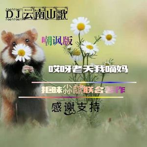 【哎呀老天我的妈】打脸搞笑版