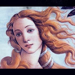 Venus（prod.by SoulFreshBeats）