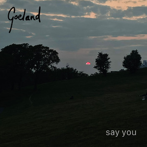 Say You