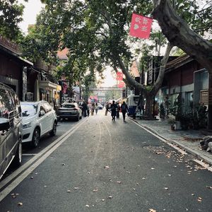 后来失去了你