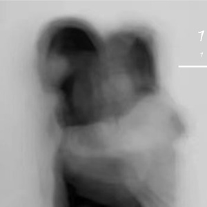 陪在你身边（prod by BECU BEATZ）