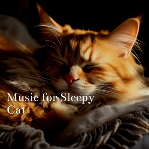 Calming Music for Cats