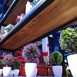 活色生香（翻自 孟茜）（Cover ）