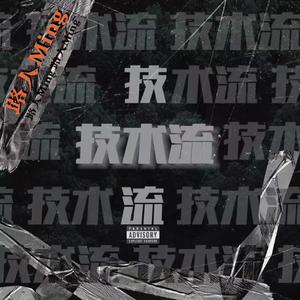 技术流