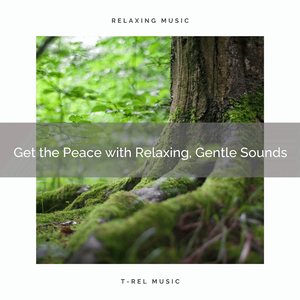 Get the Peace with Looped Noise