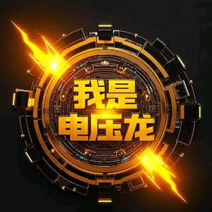 我是电压龙