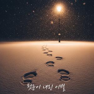 첫눈이 내린 이별