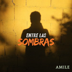Entre Las Sombras