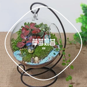 草莓奶昔