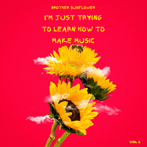 I Barely Know What I'm Doing