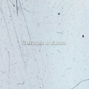 Сигара и вино