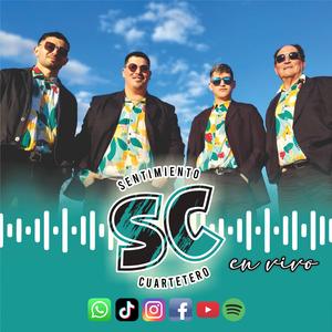 AGARRENSÉ DE LAS MANOS/MARCHITA SERPENTINA/SECA TUS LAGRIMITAS SOBRE MI HOMBRO