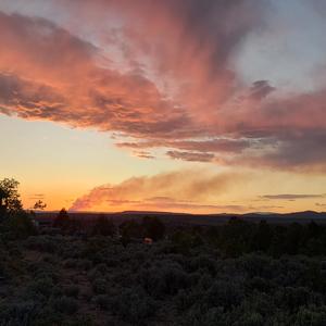 Could've would've should've but I didn't