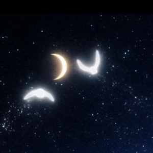 Ensemble for Polaris