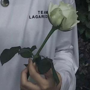 一个人唱情歌(旋律版)『男生版』（翻自 带鱼的泪）