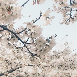 未来也一起吧Prod.Gr33nart Beats