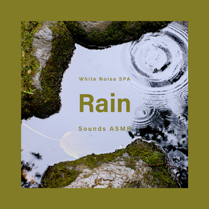 白噪音 失眠的雨夜