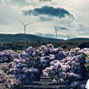 索玛劫（prod.by Survival）