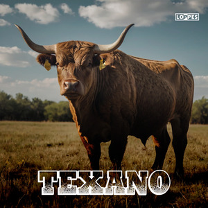 Texano