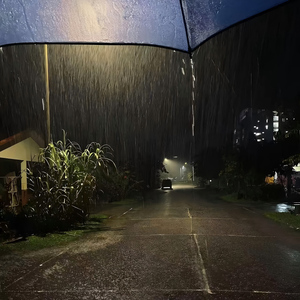 病态的爱 （忘不掉你带给我的爱和恨）