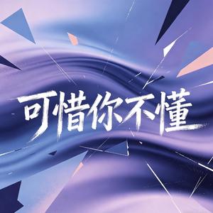 可惜你不懂（emo男版）