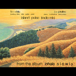 Island Pulse (Radio Mix)