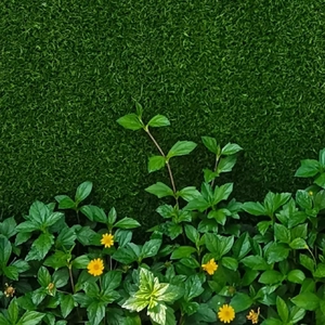 拖延症（粤语改编：总有一天我会欺骗你）