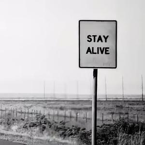 Way Down We Go (Slowed)