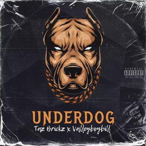 Underdog (feat. Valleyboybill)