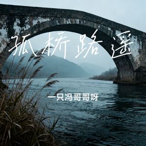 孤桥路遥