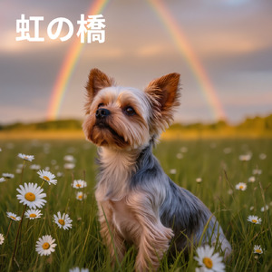 虹の橋