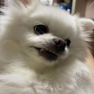 海？（Prod by 181）
