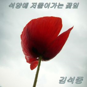 석양에 저물어가는 꽃잎